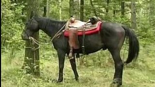 german wife threesome in nature - porn video